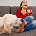 Why does my dog lick my ankles