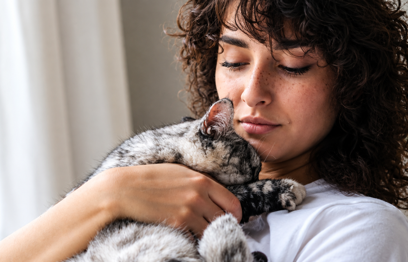 Cat licks my shoulder while sitting on my lap