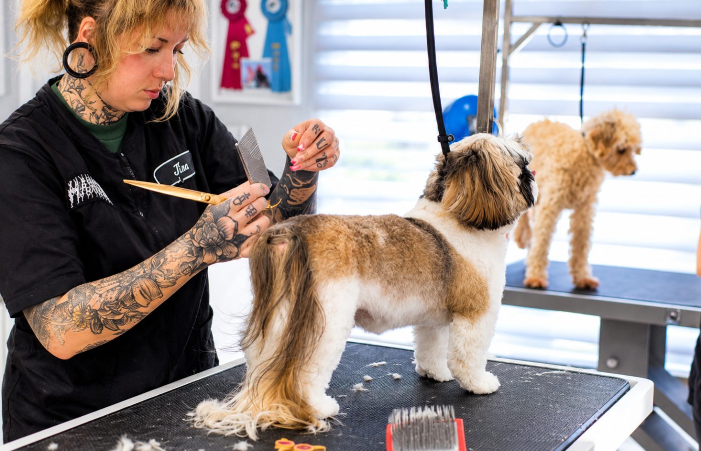 Teddy's Dog House — dog getting groomed at the salon