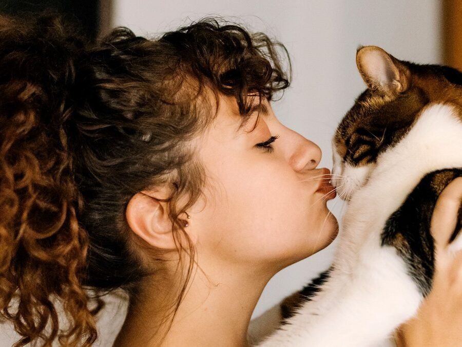 Cat licks my eyebrows while I lie down