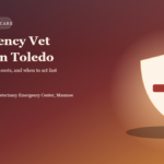Emergency vet clinic in Toledo — veterinarian examining a dog
