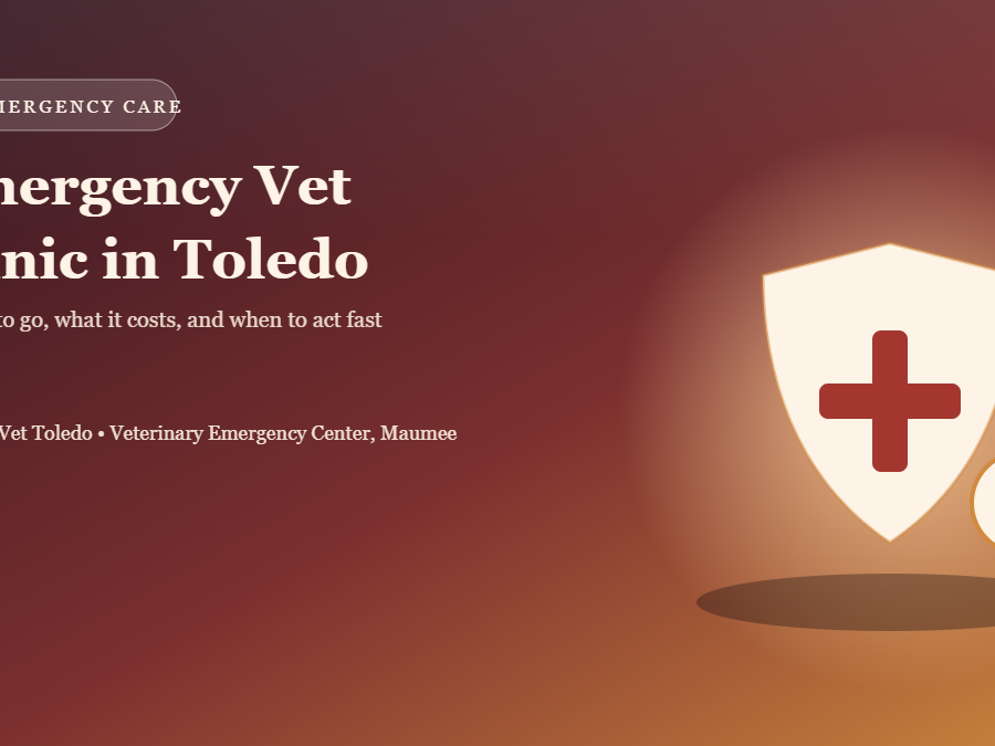 Emergency vet clinic in Toledo — veterinarian examining a dog