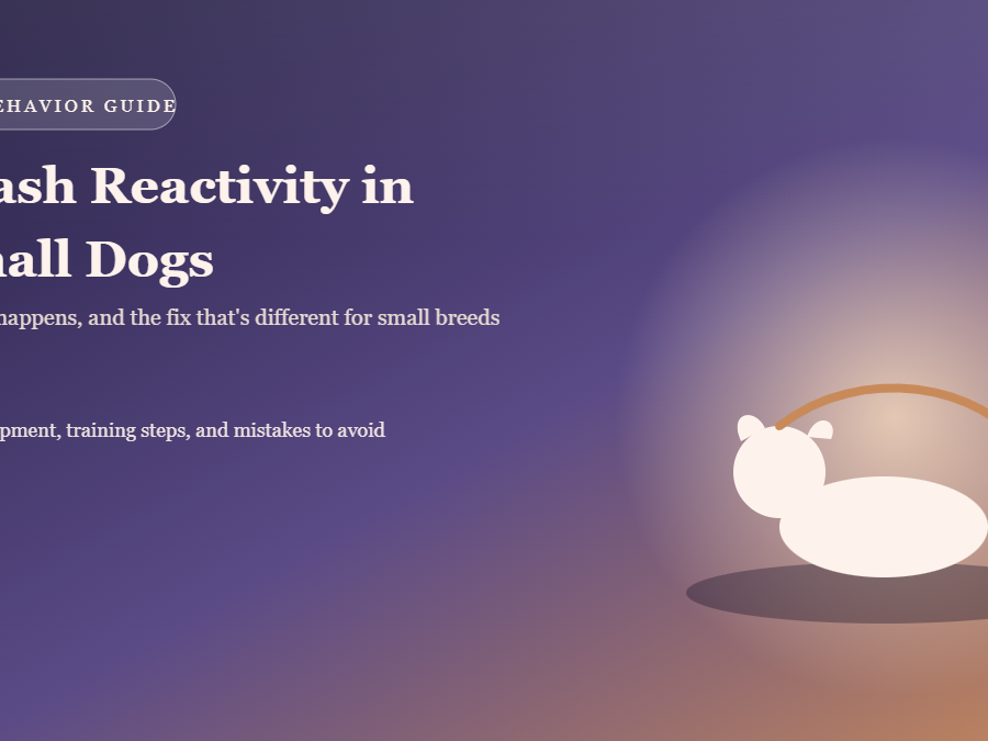 Leash reactivity in small dogs — small dog barking and pulling on leash
