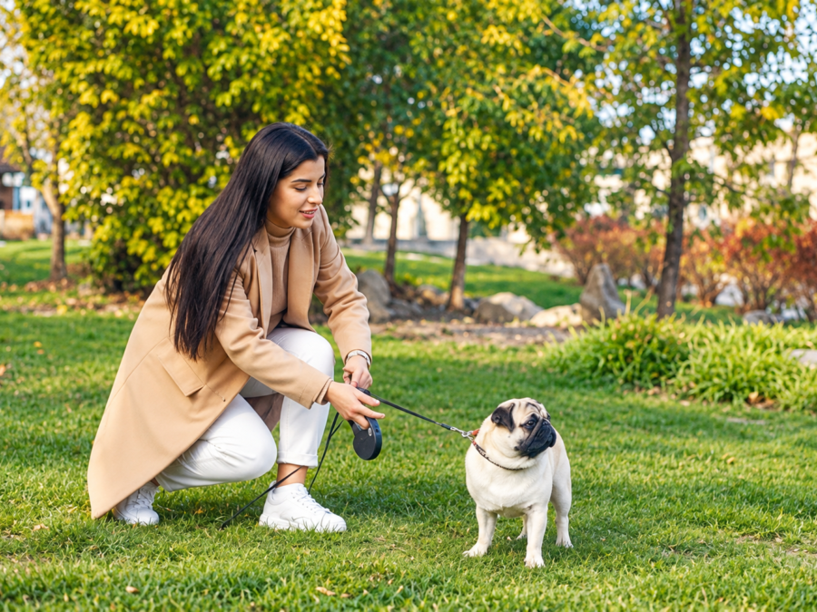Pet Sitter of Boise — dog being walked by a professional pet sitter