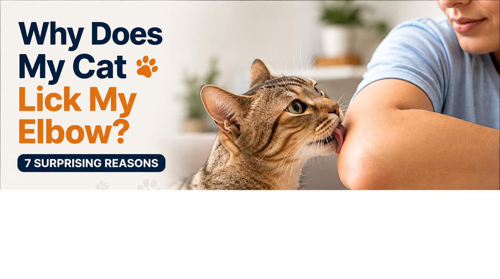 why does my cat lick my elbow