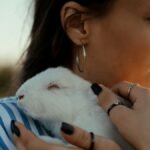 Rabbit rescue in Sacramento — woman holding a rescued white rabbit gently