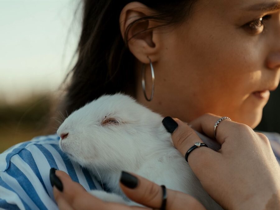 Rabbit rescue in Sacramento — woman holding a rescued white rabbit gently