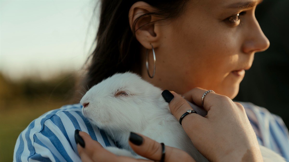 Rabbit rescue in Sacramento — woman holding a rescued white rabbit gently
