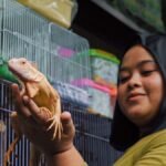 Reptile store in Portland — shopper holding an iguana beside stacked pet cages